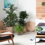 Minimalisme et Feng Shui dans la Chambre: Harmonisation des Énergies pour un Sommeil Réparateur